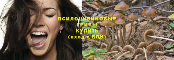прущая мука Алексин