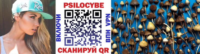 Псилоцибиновые грибы мухоморы  кракен онион  Глазов 